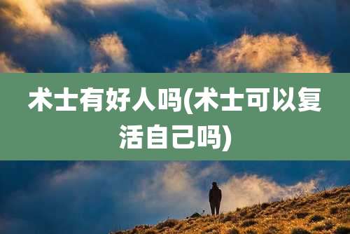 术士有好人吗(术士可以复活自己吗)