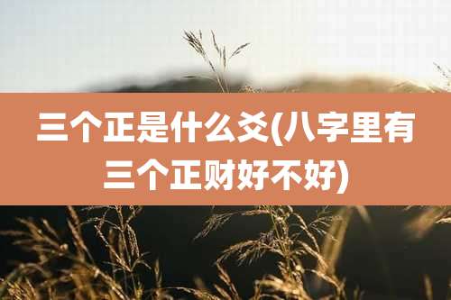 三个正是什么爻(八字里有三个正财好不好)