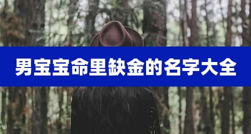 男宝宝命里缺金的名字大全