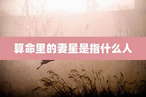 算命里的妻星是指什么人