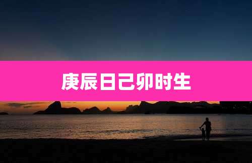 庚辰日己卯时生