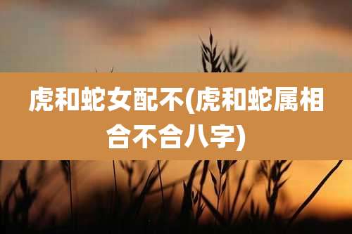 虎和蛇女配不(虎和蛇属相合不合八字)
