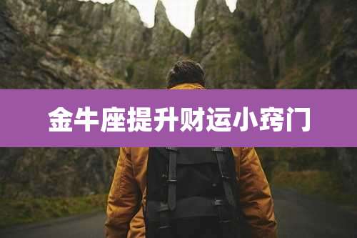 金牛座提升财运小窍门