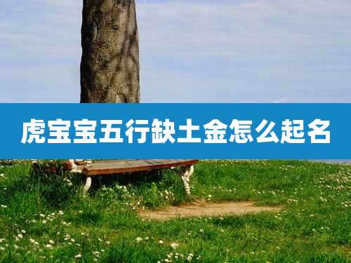 虎宝宝五行缺土金怎么起名