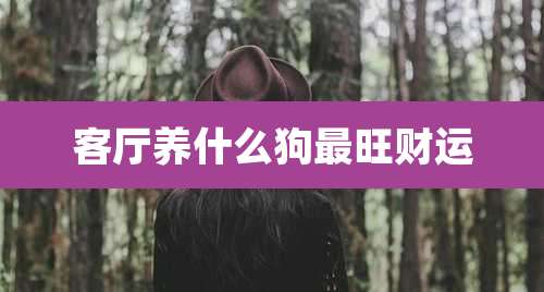 客厅养什么狗最旺财运