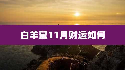 白羊鼠11月财运如何