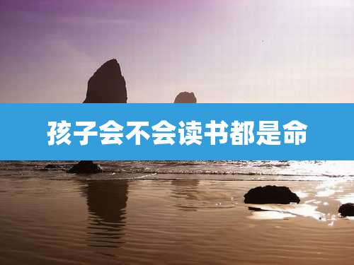 孩子会不会读书都是命