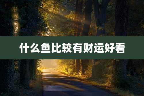 什么鱼比较有财运好看