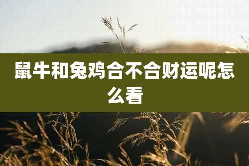 鼠牛和兔鸡合不合财运呢怎么看
