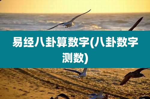 易经八卦算数字(八卦数字测数)