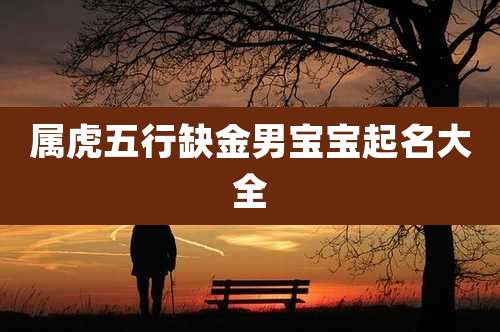 属虎五行缺金男宝宝起名大全