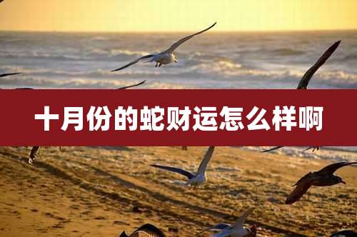 十月份的蛇财运怎么样啊