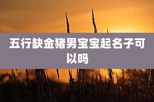五行缺金猪男宝宝起名子可以吗