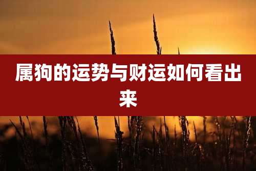 属狗的运势与财运如何看出来