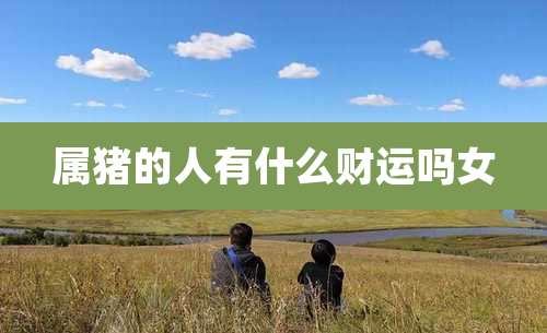 属猪的人有什么财运吗女