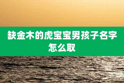 缺金木的虎宝宝男孩子名字怎么取