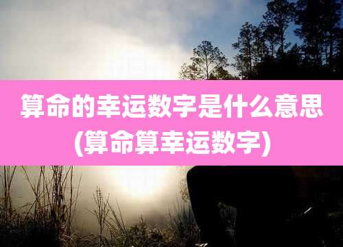 算命的幸运数字是什么意思(算命算幸运数字)