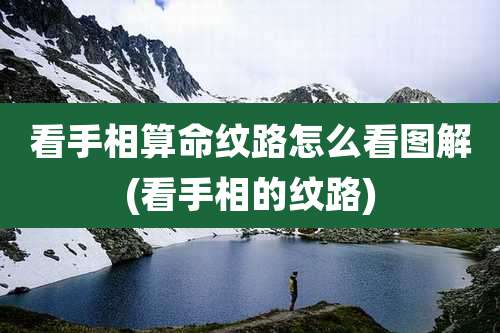 看手相算命纹路怎么看图解(看手相的纹路)