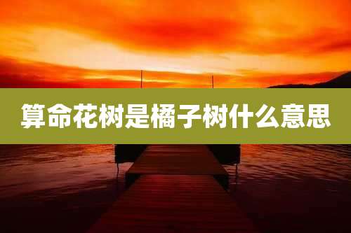 算命花树是橘子树什么意思