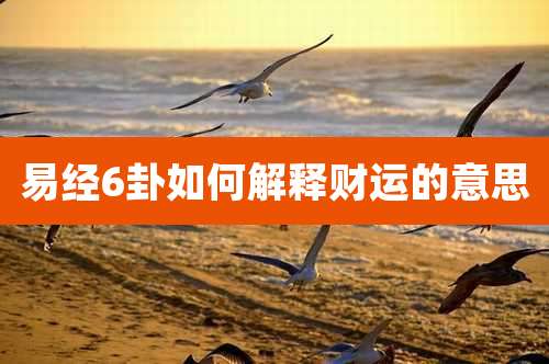 易经6卦如何解释财运的意思