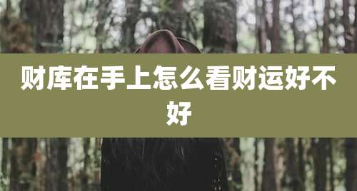 财库在手上怎么看财运好不好