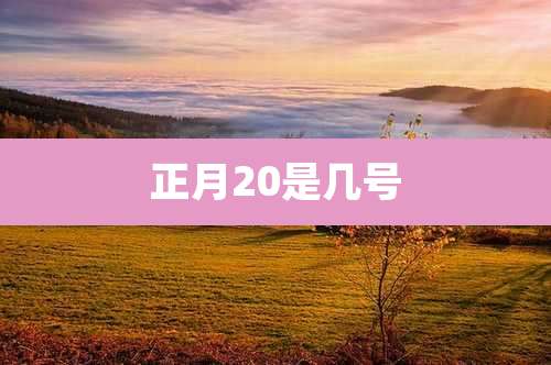 正月20是几号