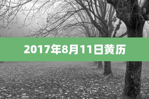 2017年8月11日黄历