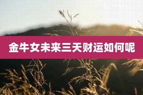 金牛女未来三天财运如何呢
