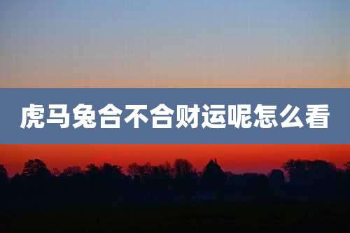 虎马兔合不合财运呢怎么看