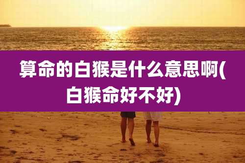 算命的白猴是什么意思啊(白猴命好不好)
