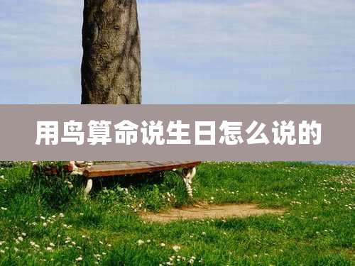 用鸟算命说生日怎么说的