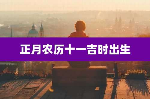 正月农历十一吉时出生