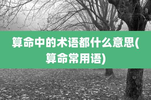 算命中的术语都什么意思(算命常用语)