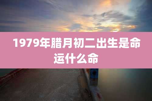 1979年腊月初二出生是命运什么命