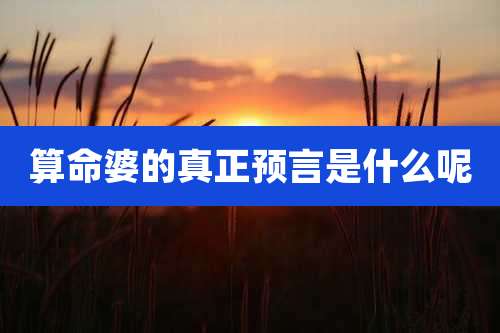 算命婆的真正预言是什么呢