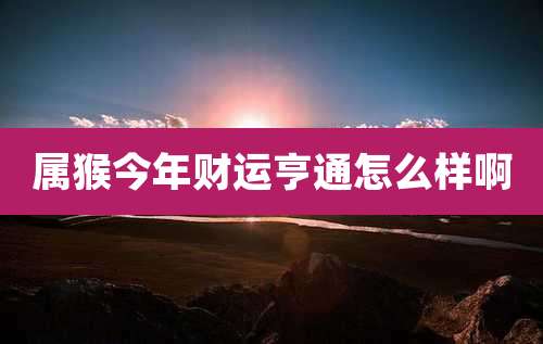 属猴今年财运亨通怎么样啊
