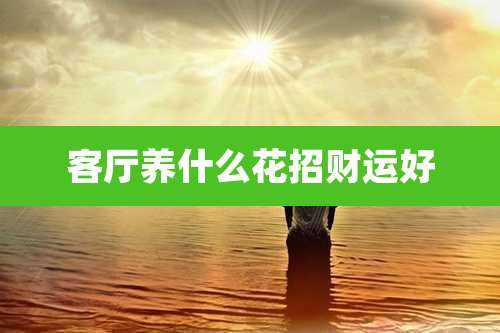 客厅养什么花招财运好