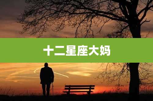 十二星座大妈
