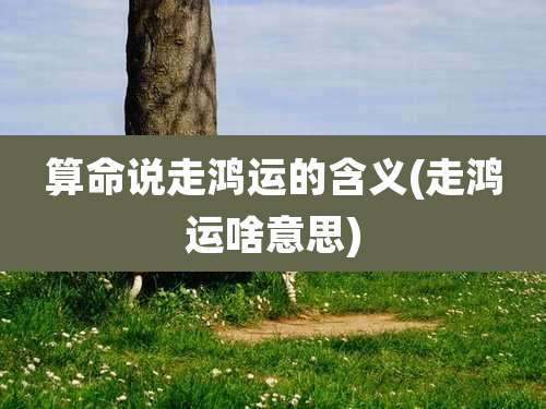 算命说走鸿运的含义(走鸿运啥意思)