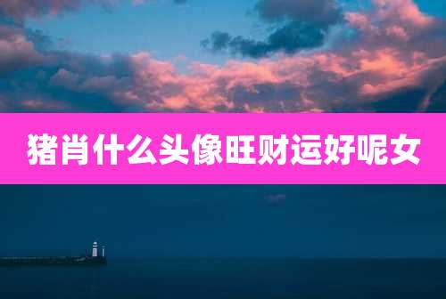 猪肖什么头像旺财运好呢女