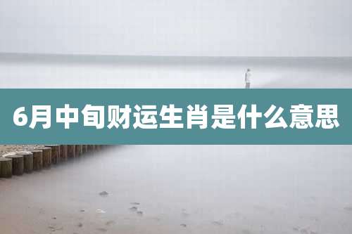 6月中旬财运生肖是什么意思