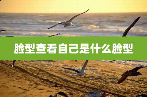 脸型查看自己是什么脸型