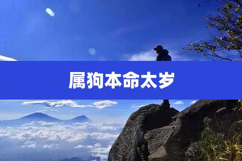 属狗本命太岁