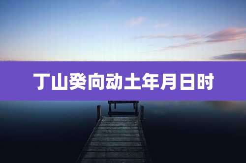 丁山癸向动土年月日时
