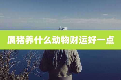 属猪养什么动物财运好一点