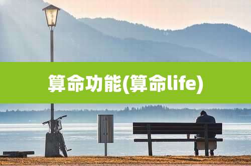 算命功能(算命life)