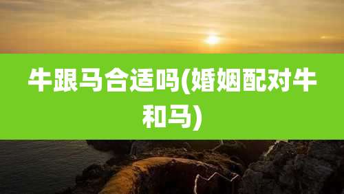 牛跟马合适吗(婚姻配对牛和马)