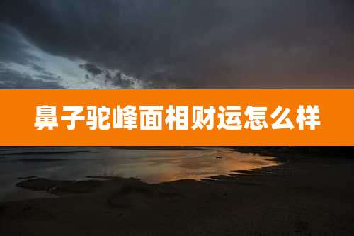 鼻子驼峰面相财运怎么样