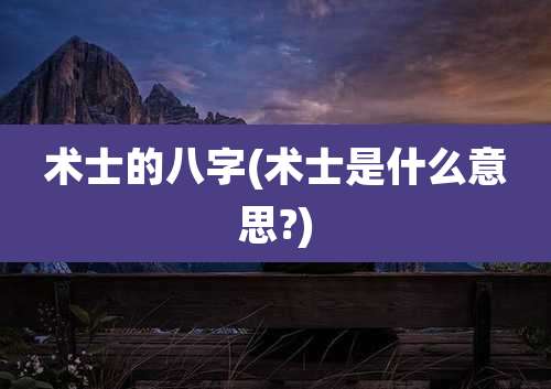 术士的八字(术士是什么意思?)