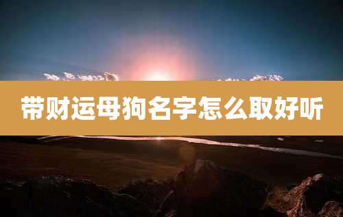 带财运母狗名字怎么取好听
